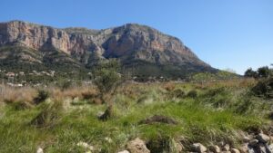 0425 NEWS Campo 2